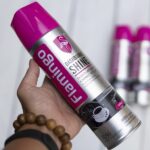 سبراي دشبول Flamingo